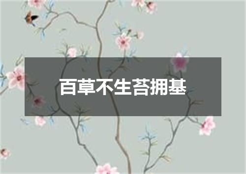 百草不生苔拥基