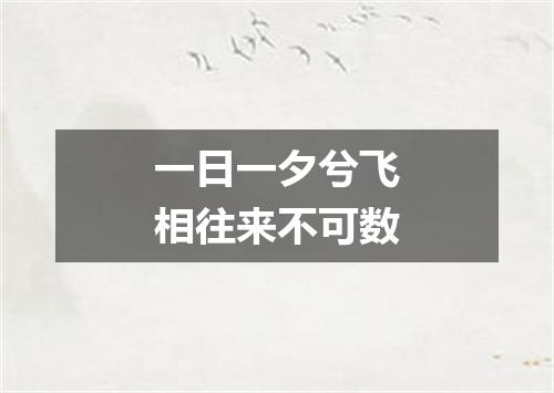 一日一夕兮飞相往来不可数
