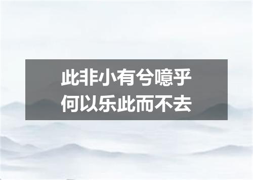此非小有兮噫乎何以乐此而不去
