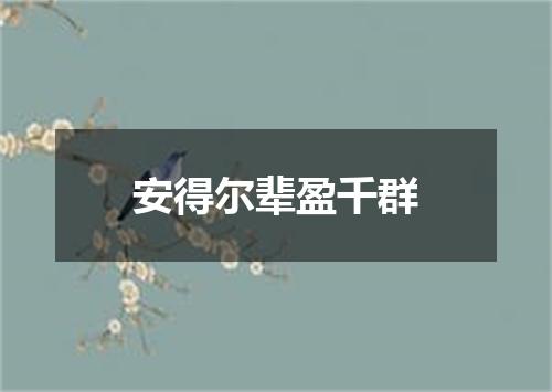 安得尔辈盈千群