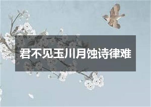 君不见玉川月蚀诗律难