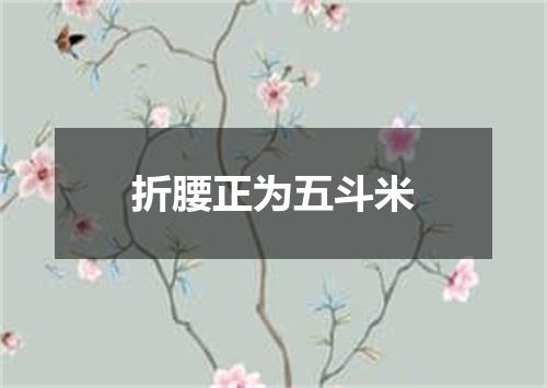 折腰正为五斗米