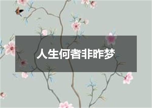 人生何者非昨梦