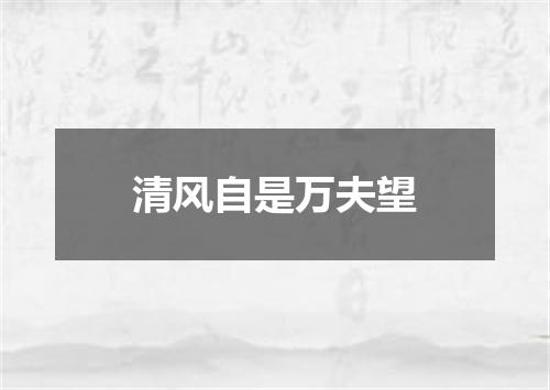 清风自是万夫望