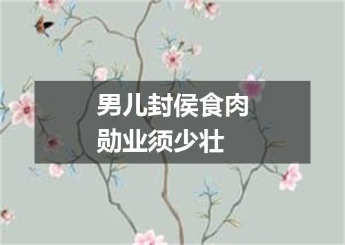 男儿封侯食肉勋业须少壮