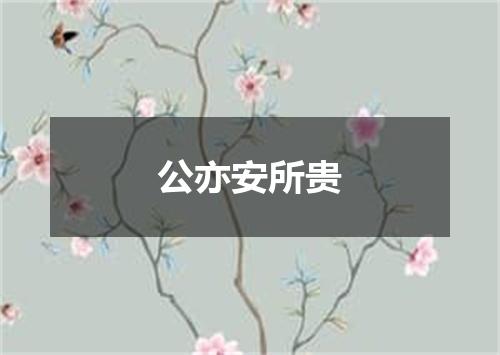 公亦安所贵