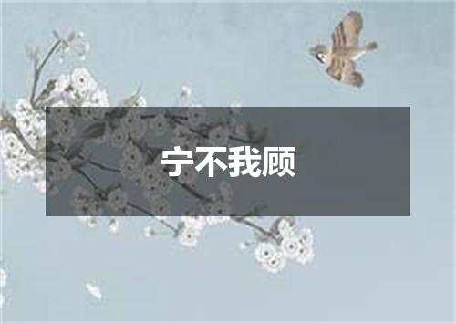 宁不我顾