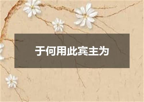于何用此宾主为