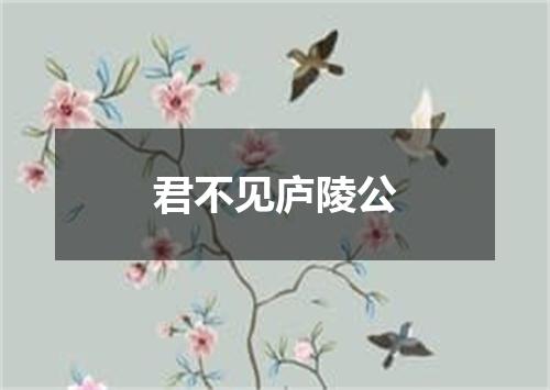 君不见庐陵公