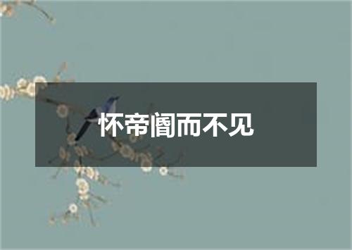 怀帝阍而不见