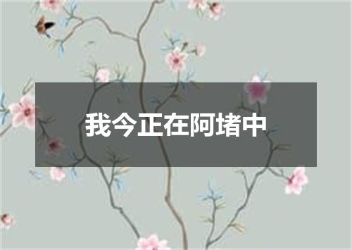 我今正在阿堵中