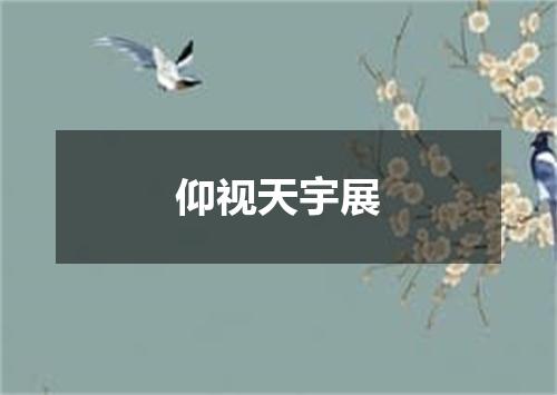 仰视天宇展