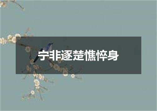 宁非逐楚憔悴身