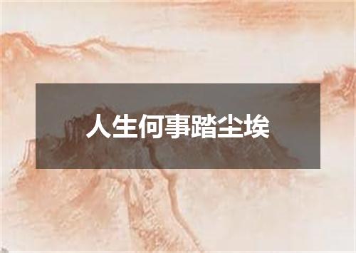人生何事踏尘埃