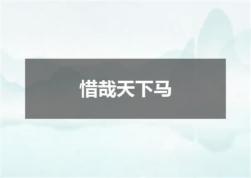 惜哉天下马
