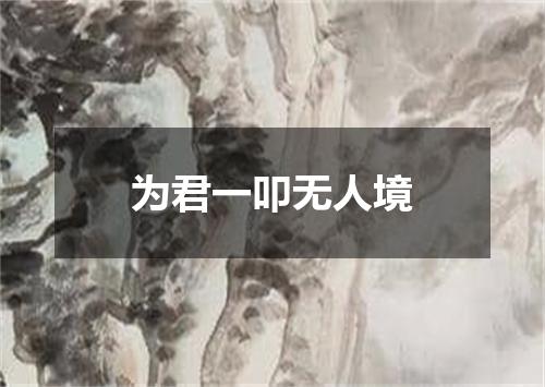 为君一叩无人境