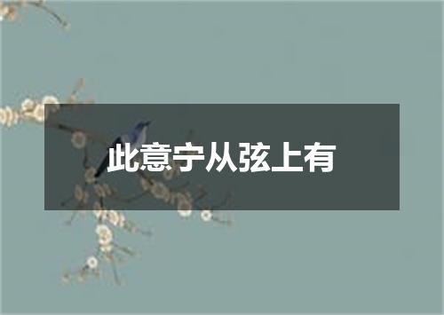 此意宁从弦上有