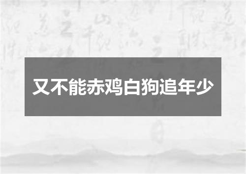 又不能赤鸡白狗追年少