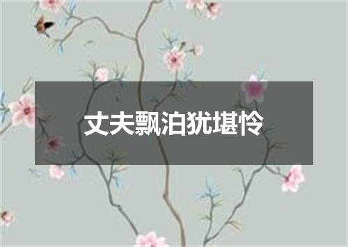 丈夫飘泊犹堪怜