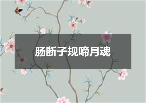 肠断子规啼月魂