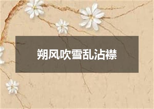 朔风吹雪乱沾襟
