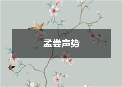 孟尝声势