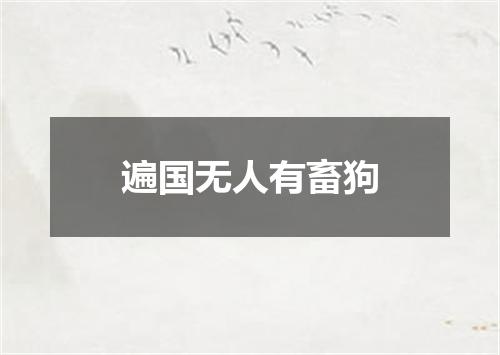 遍国无人有畜狗