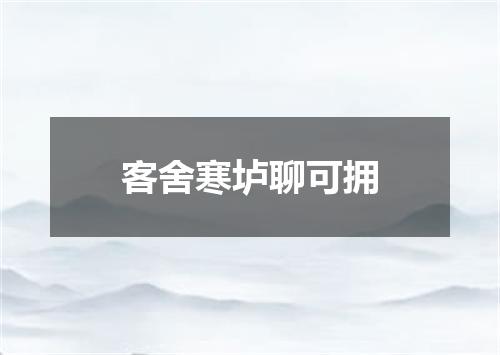 客舍寒垆聊可拥