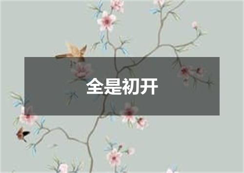 全是初开