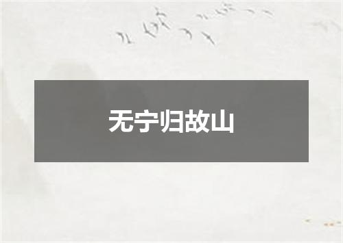 无宁归故山