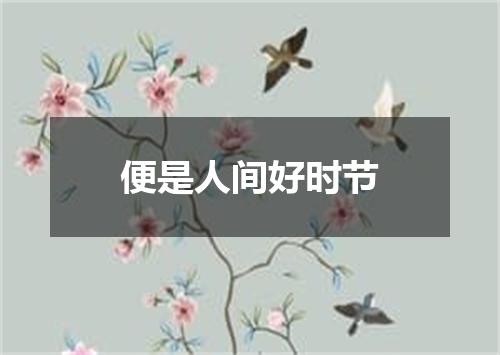 便是人间好时节