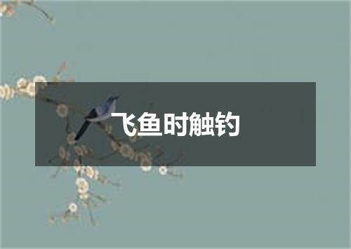 飞鱼时触钓