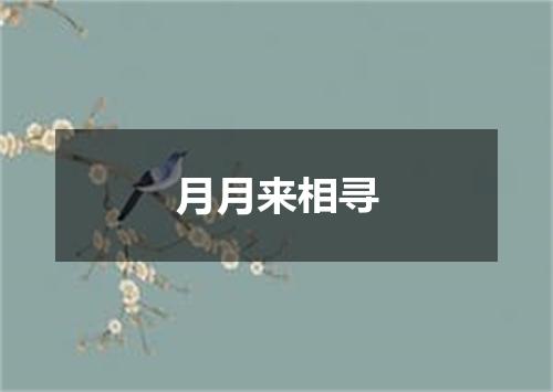 月月来相寻