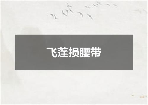 飞蓬损腰带