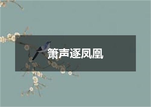 箫声逐凤凰