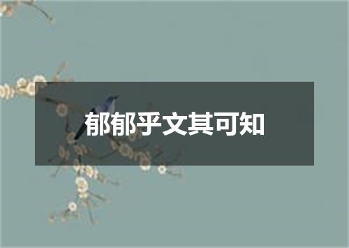 郁郁乎文其可知