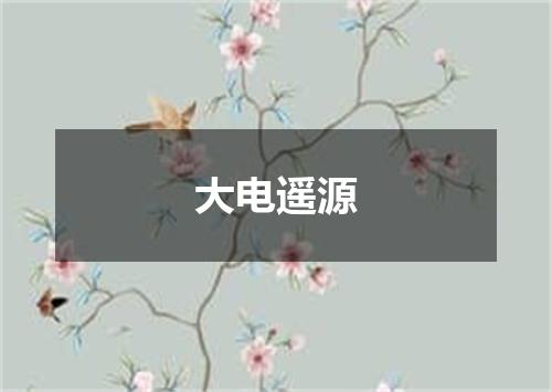 大电遥源