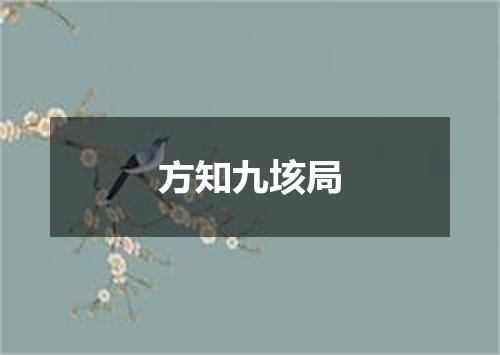 方知九垓局
