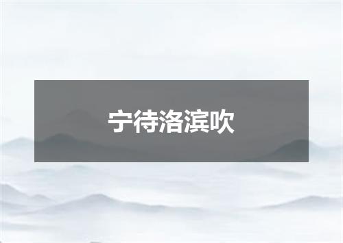 宁待洛滨吹