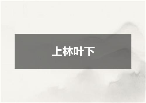 上林叶下