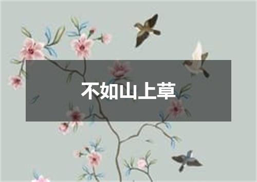 不如山上草