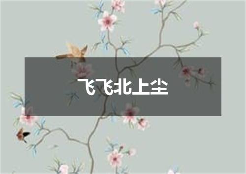 飞飞北上尘