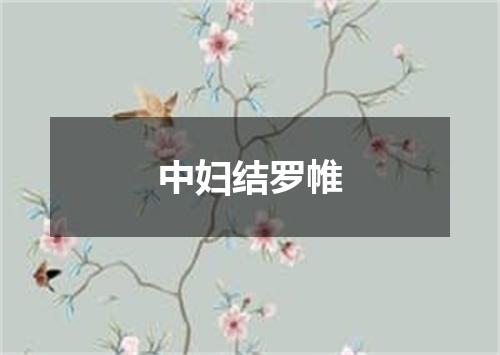 中妇结罗帷