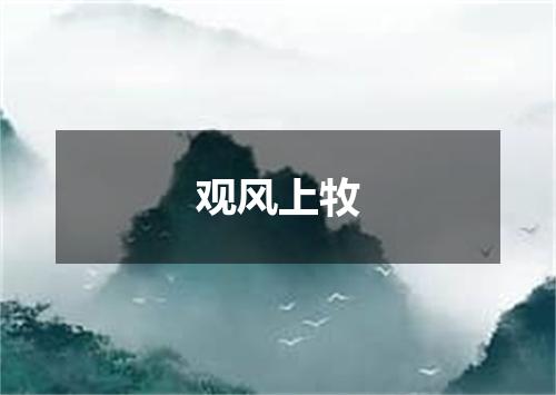 观风上牧