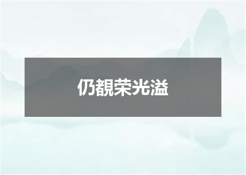 仍覩荣光溢