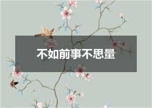 不如前事不思量