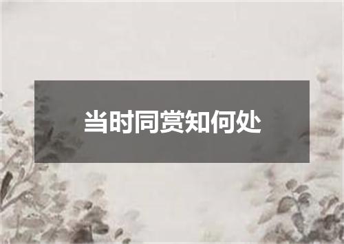 当时同赏知何处