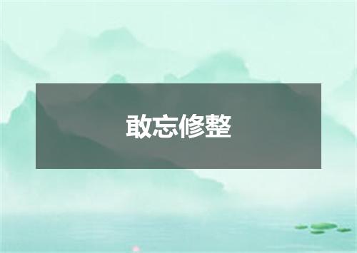 敢忘修整