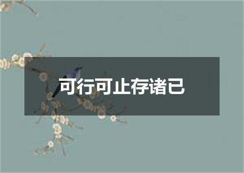 可行可止存诸已