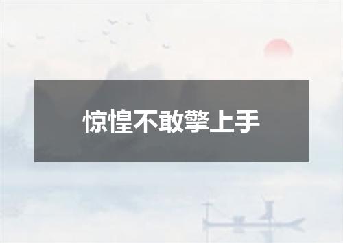 惊惶不敢擎上手